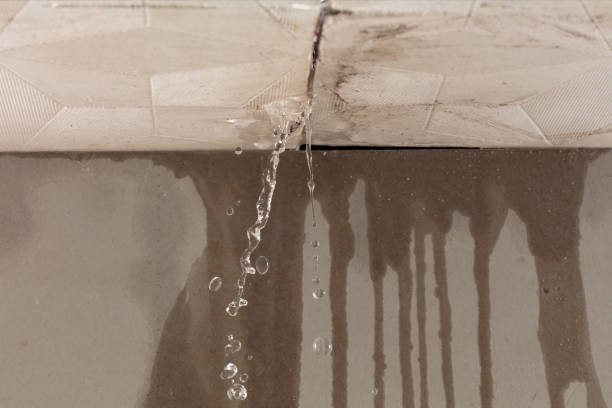 Professional Sewage Cleanup technician working in Lake Park, FL